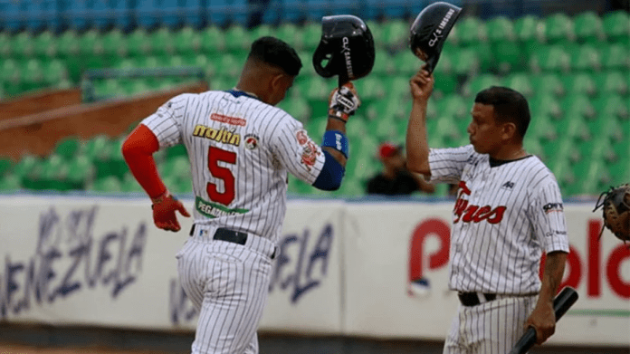Tigres de Aragua obtienen