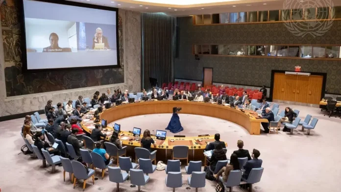 onu.jpg Consejo de Seguridad de la ONU