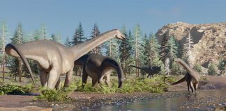 dinosaurios