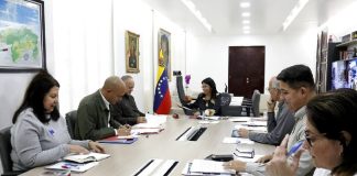 El Consejo de Vicepresidentes Sectoriales