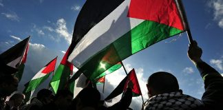 Solidaridad - Palestina