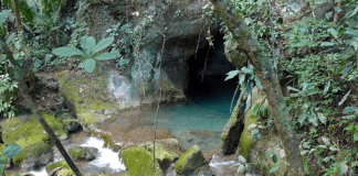 Belice: Hallan canales de pesca usados por predecesores de los Mayas