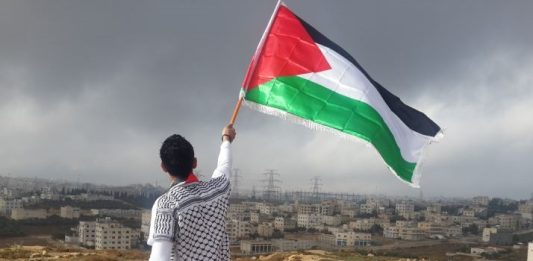 En las entrañas del monstruo - Palestina