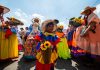 festival de Burriquitas