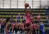 Libalca se estrena este fin de semana en Flor Amarillo El baloncesto de Libalca