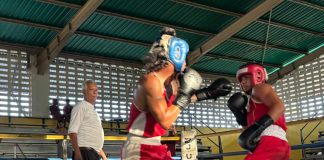 El boxeo carabobeño