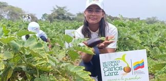 Movimientos campesinos