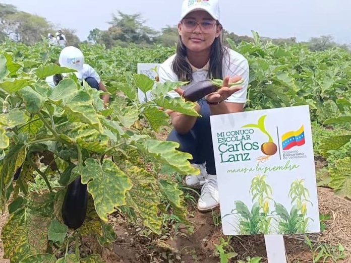 Movimientos campesinos