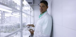 Científico venezolano estudia mejorar el sabor de la estevia
