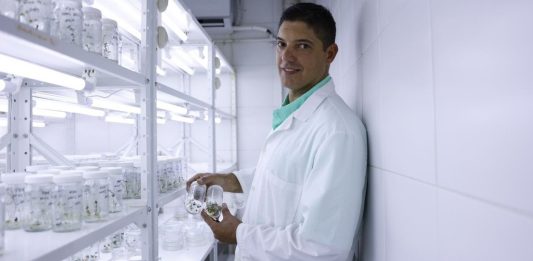 Científico venezolano estudia mejorar el sabor de la estevia