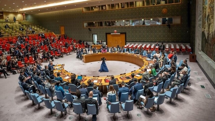 consjo Situación de Siria