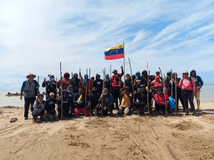 imagen_2024-12-02_141803791 manglares