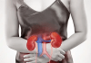 Un buen funcionamiento renal
