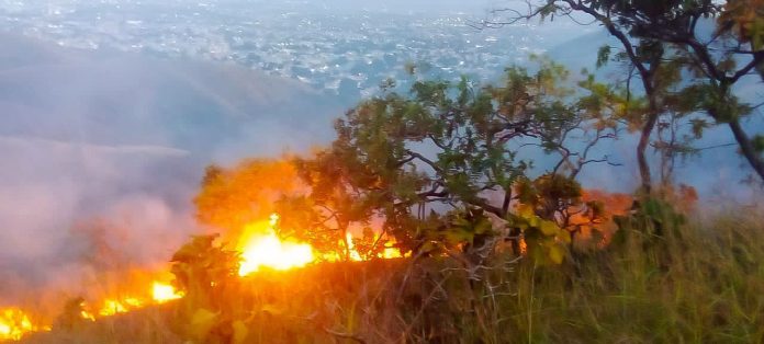 incendio provocado