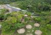 Amazonas: Turismo es la vía para el desarrollo de este estado venezolano El turismo en Amazonas