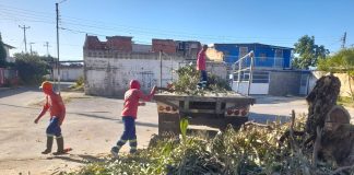 Jornada de limpieza