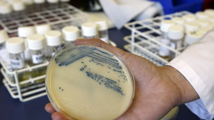 bacterias Superbacterias