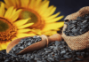 Semillas de Girasol