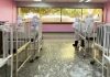 Valencia: Realizan jornada de desinfección al hospital Enrique Tejera y Maternidad del Sur Jornada de desinfección
