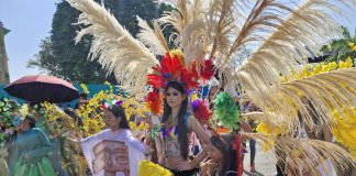 carnavales pedagógicos