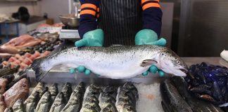 El consumo de pescado