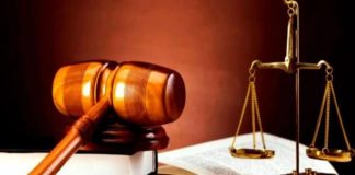 Dia Internacional del Abogado