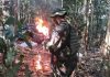 FANB destruye campamento de minería