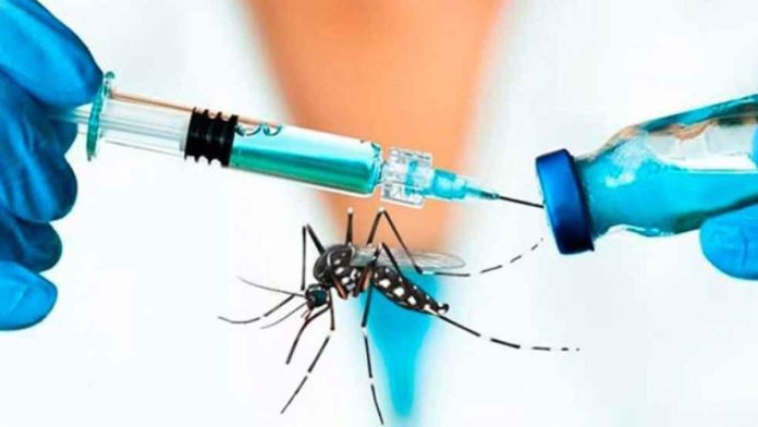 La-vacuna-contra-el-dengue vacuna contra el dengue