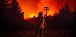 Desastre ambiental en Patagonia argentina: Más de 48 mil hectáreas arrasadas por incendios
