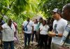 Proyecto Sigma Cacao