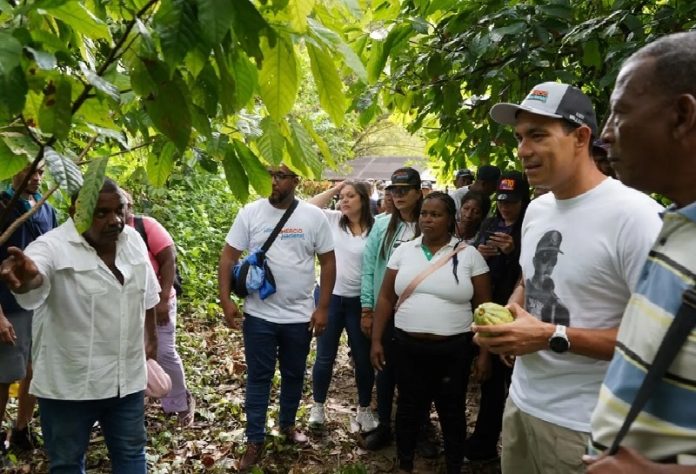 Proyecto Sigma Cacao