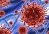 descubren nuevo virus