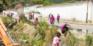 Trabajos de limpieza y saneamiento