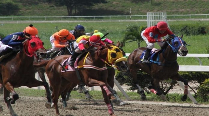 Venezuela opta para ser sede de clasificatorias a eventos hípicos internacionales
