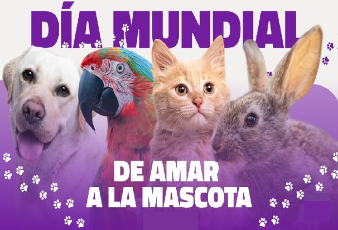 mascotas Día Mundial de Amar a tu Mascota