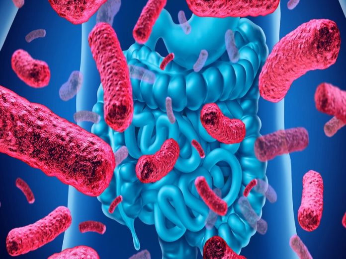 La microbiota intestinal