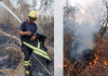 Incendio forestal