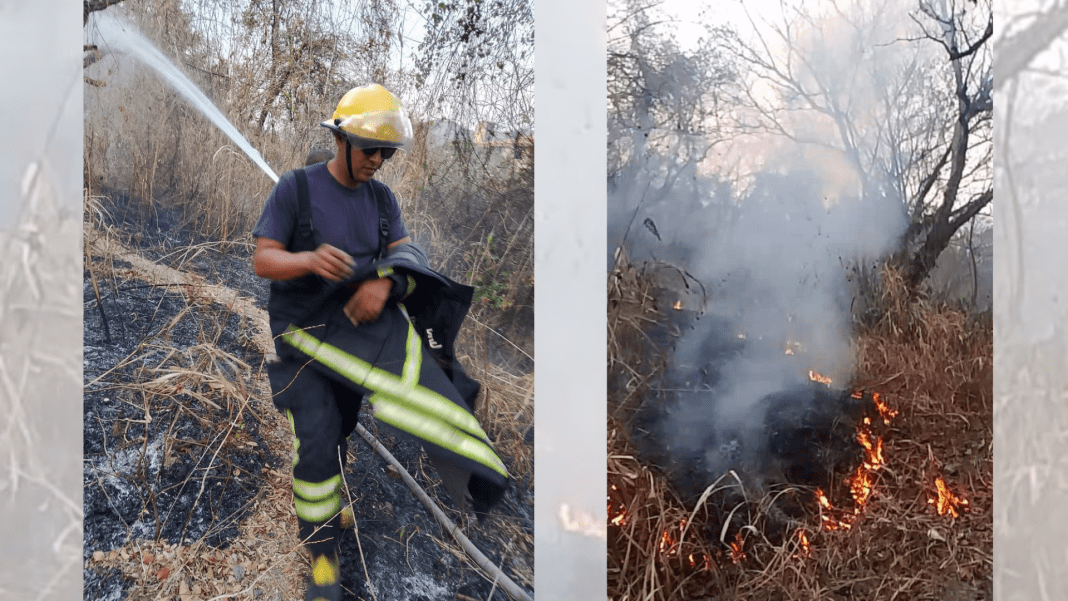 Incendio forestal