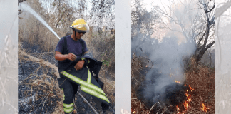 Incendio forestal