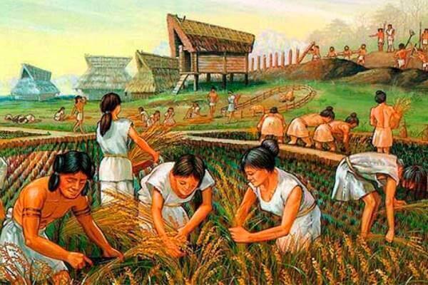 Evolucion-de-la-Agricultura-la mujer