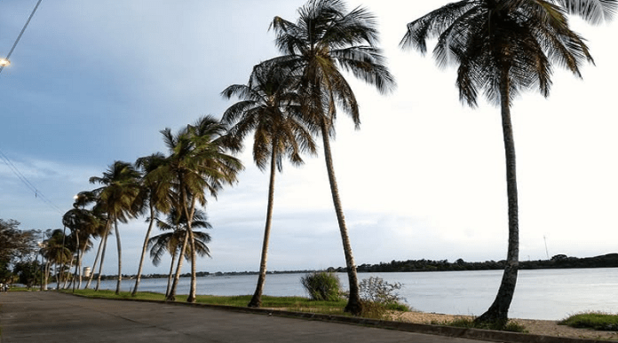 Paseo Malecón Paseo Malecón Manamo