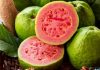Consumir semillas de guayaba puede ayudarte a mejorar tu salud digestiva semillas de guayaba