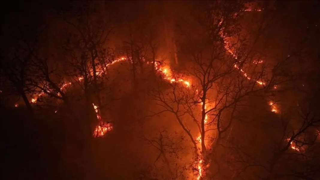 estados-unidos-2.jpg estado de emergencia en Nueva York