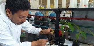 control biológico en enfermedades agrícolas