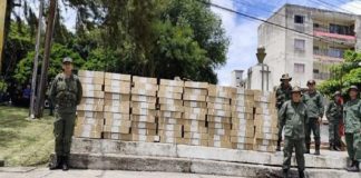 Plan República se despliega para garantizar la paz en II Consulta Popular Nacional 2025