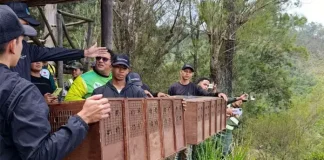 Especies silvestres tienen nuevo hogar en el Waraira Repano