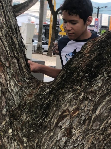Genaro-pintor