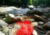 Contaminación alarmante en el río La Cumaca exige conciencia ciudadana Contaminación alarmante en el río La Cumaca