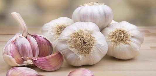 Los antibióticos caseros
