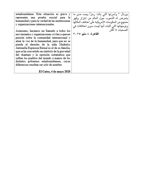 comunicado el cairo 2
